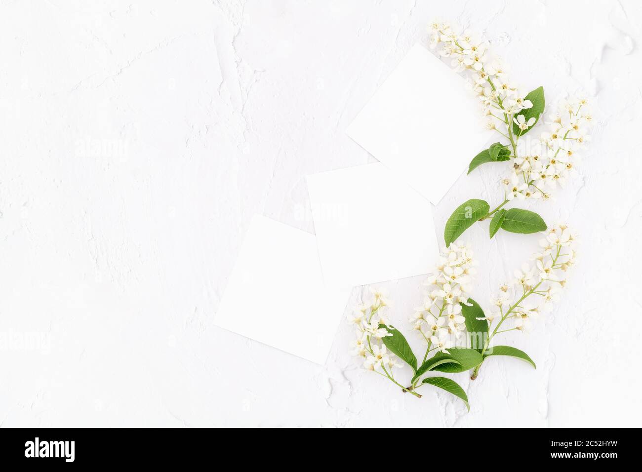 Fiori bianchi e carte mockup su sfondo bianco. Sfondo retrò. Spazio di copia. Stile di posa piatto. Foto Stock