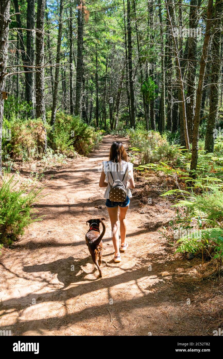 Una fotografia del mio partner che cammina con il nostro cane attraverso una foresta trovata dietro Marbella, Spagna Foto Stock