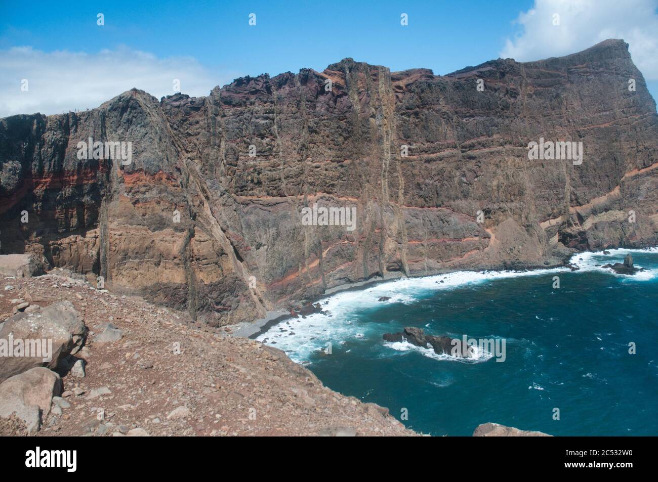 Fauna selvatica iin Cap Sao Laurenço isola vulcanica nell'Oceano Atlantico-Madeira isola Foto Stock