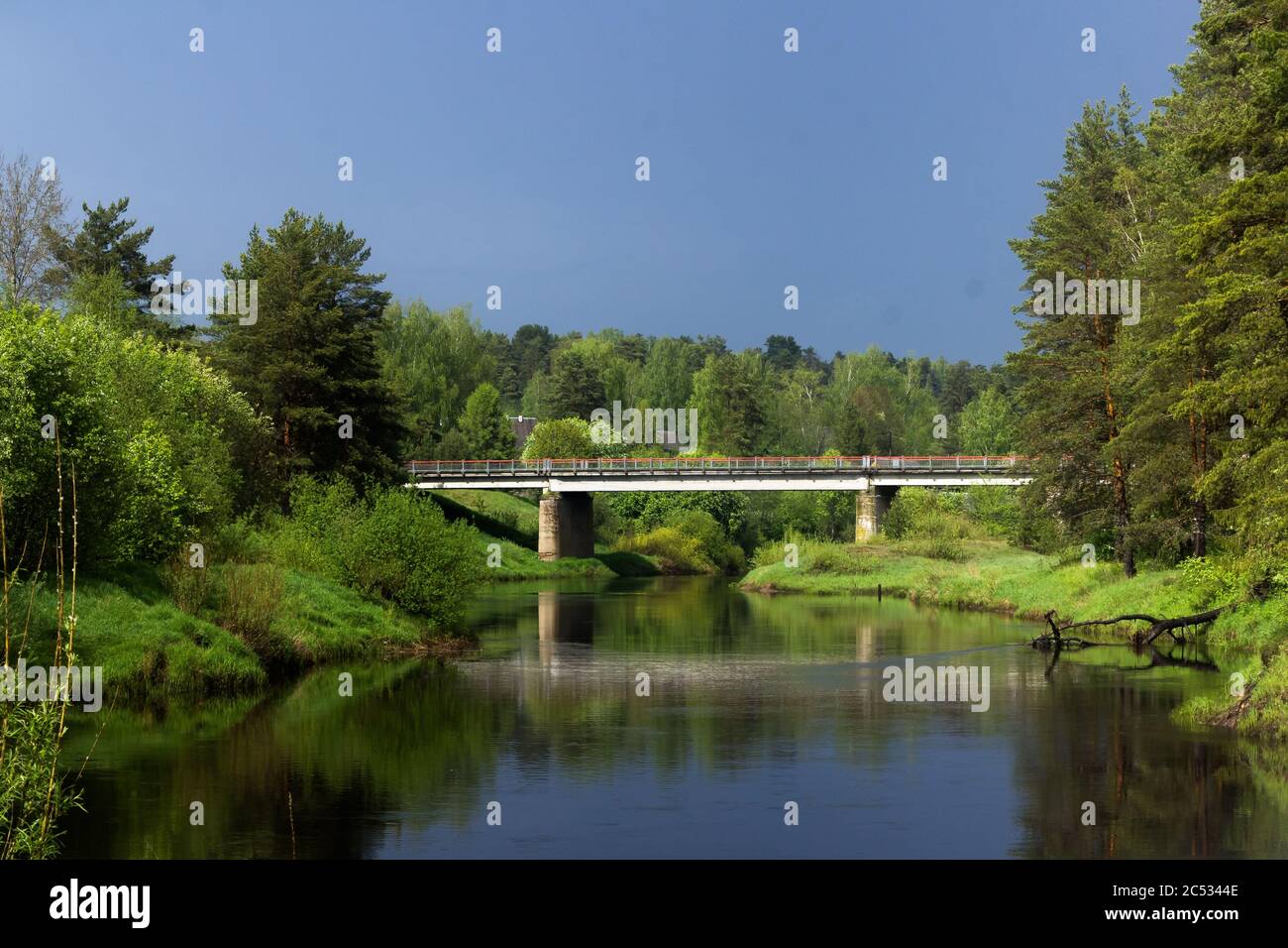 ponte di cemento sul fiume tra la foresta Foto Stock