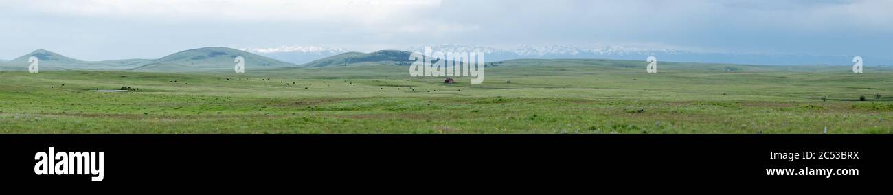 Panorama di Zumwalt Prairie, Oregon nord-orientale. Foto Stock