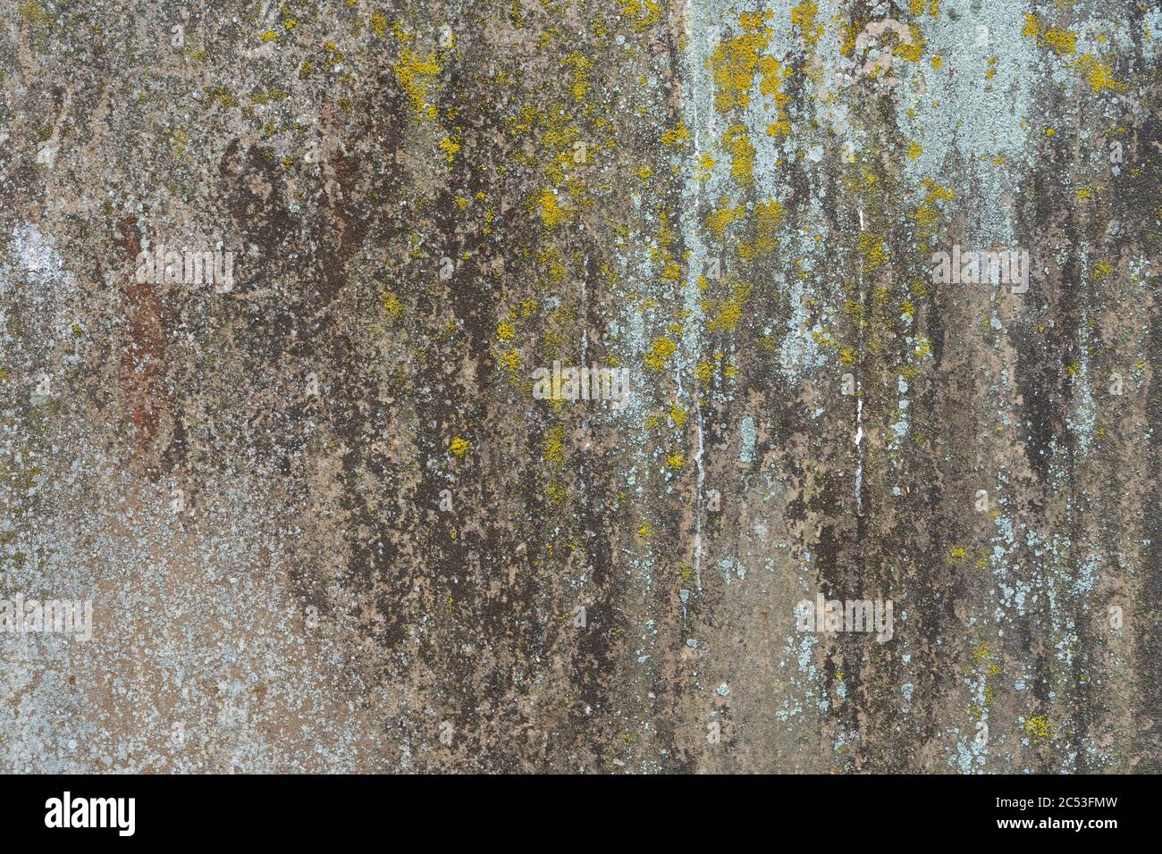 Struttura naturale e struttura formata su una vecchia lastra di pietra. Texture di sfondo. Foto Stock