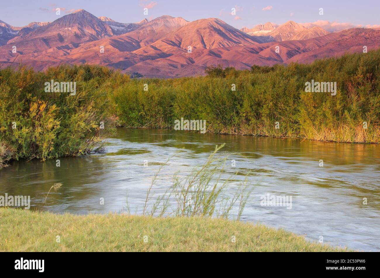 Sierra Nevada orientale dal fiume Owens, California Foto Stock