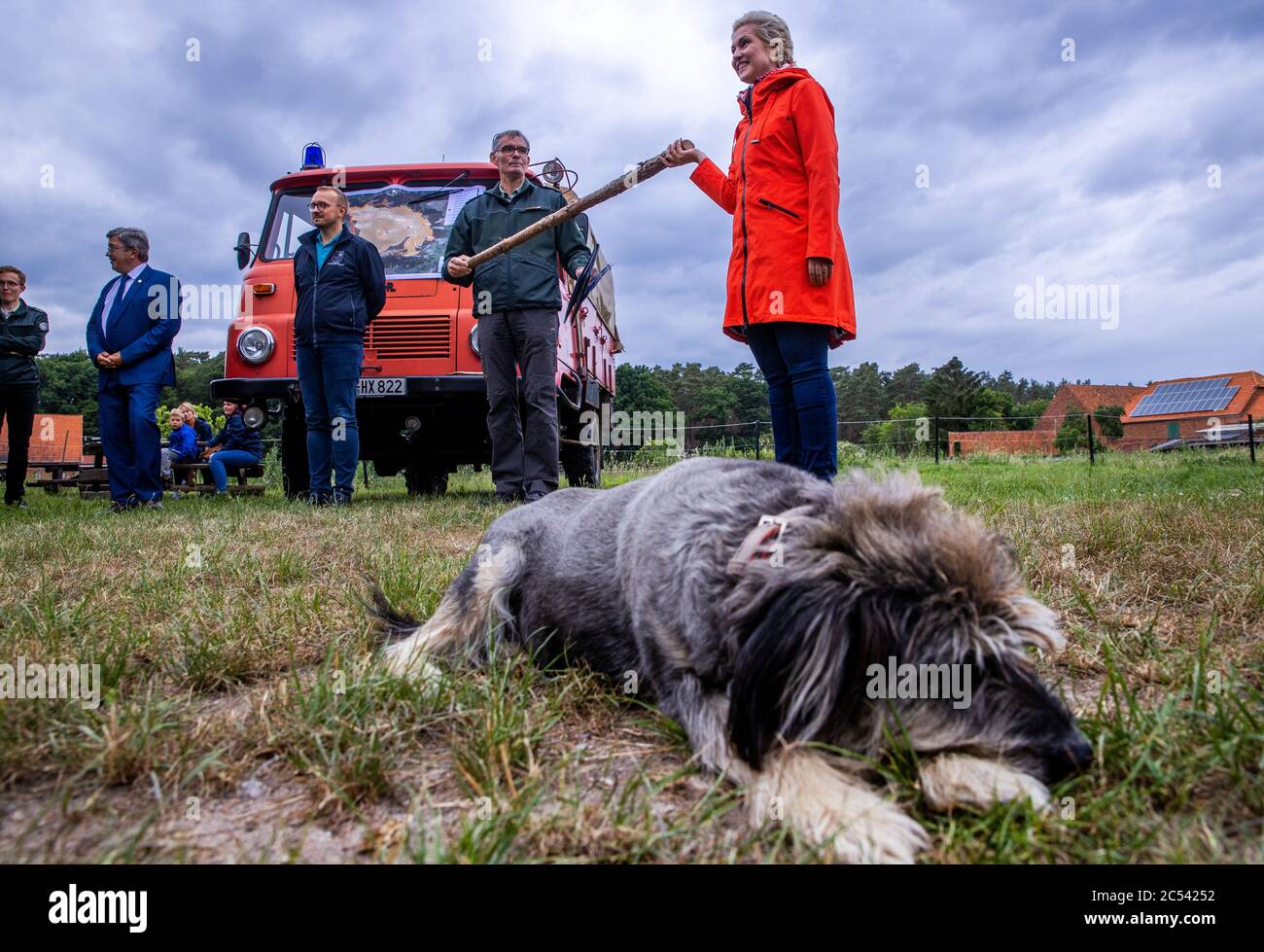 Alt Jabel, Germania. 30 giugno 2020. Un cane da caccia si trova nell'erba, dietro di essa c'è Manuela Schwesig (SPD), il primo ministro del Meclemburgo-Vorpommern, e altri funzionari in una riunione un anno dopo gli incendi boschivi nella regione. Un anno fa, i vigili del fuoco, la polizia e le forze armate tedesche hanno dovuto spegnere un grande incendio forestale per giorni alla fine. Il 26 giugno 2019, il più grande incendio forestale nella storia del Meclemburgo-Vorpommern era scoppiato su più di 400 ettari di un'ex area di addestramento militare. Credit: Jens Büttner/dpa-Zentralbild/ZB/dpa/Alamy Live News Foto Stock