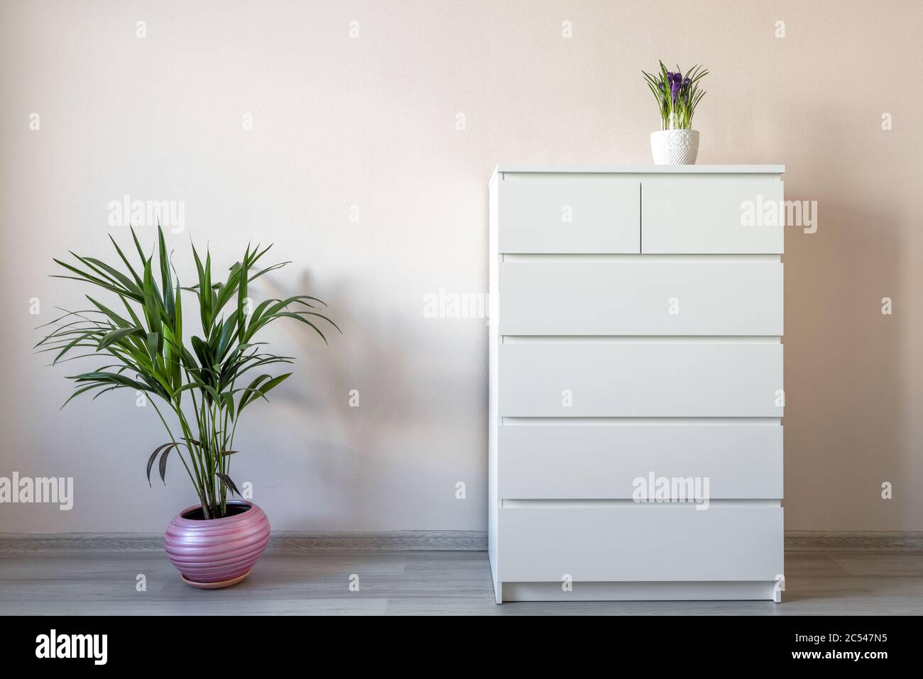 Interni moderni per uffici con mobiletto e piante Foto Stock