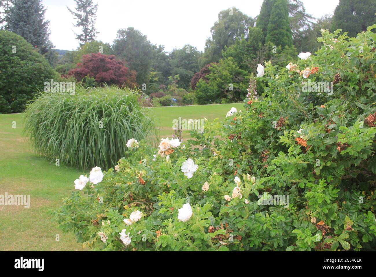 Castello Chirk in Galles Foto Stock