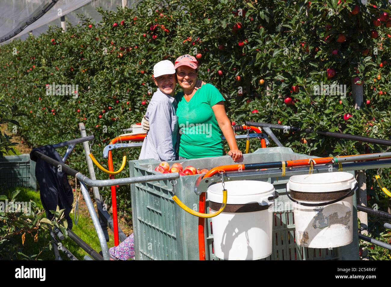 Raccoglitori di frutta di stagione. Foto Stock