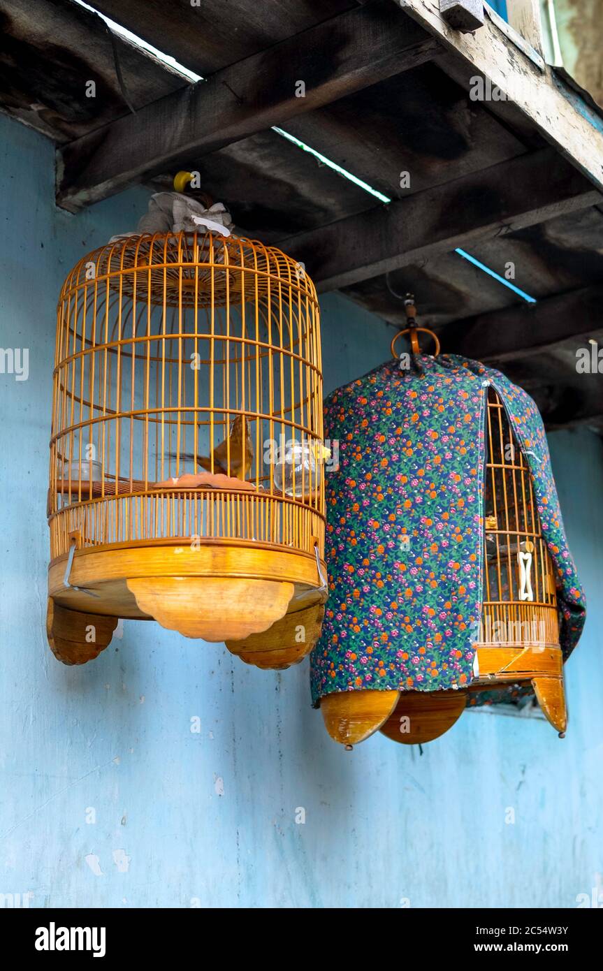 Due gabbie di uccelli rotonde, intrecciate in legno in un mercato in  Vietnam. Una gabbia è coperta con un panno blu. Sfondo una parete blu Foto  stock - Alamy