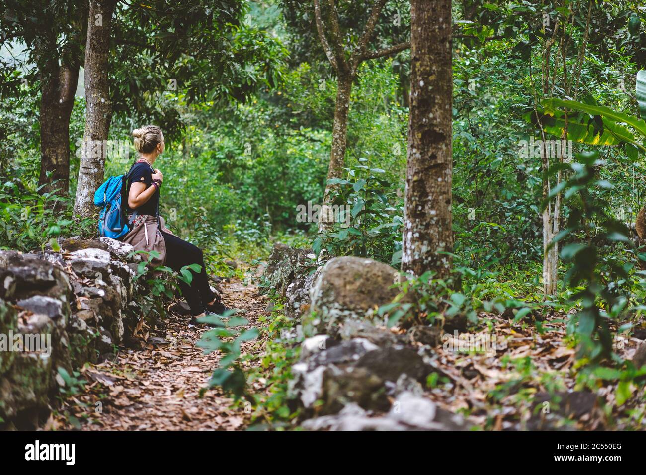 Il viaggiatore femminile riposa durante l'escursione nella piantagione di caffè a Santo Antao Capo Verde. Foto Stock