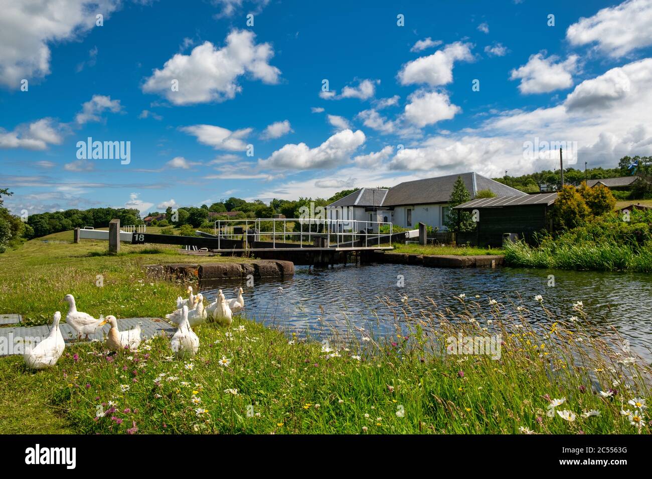 Il canale Forth & Clyde vicino Falkirk, Scozia, Regno Unito Foto Stock