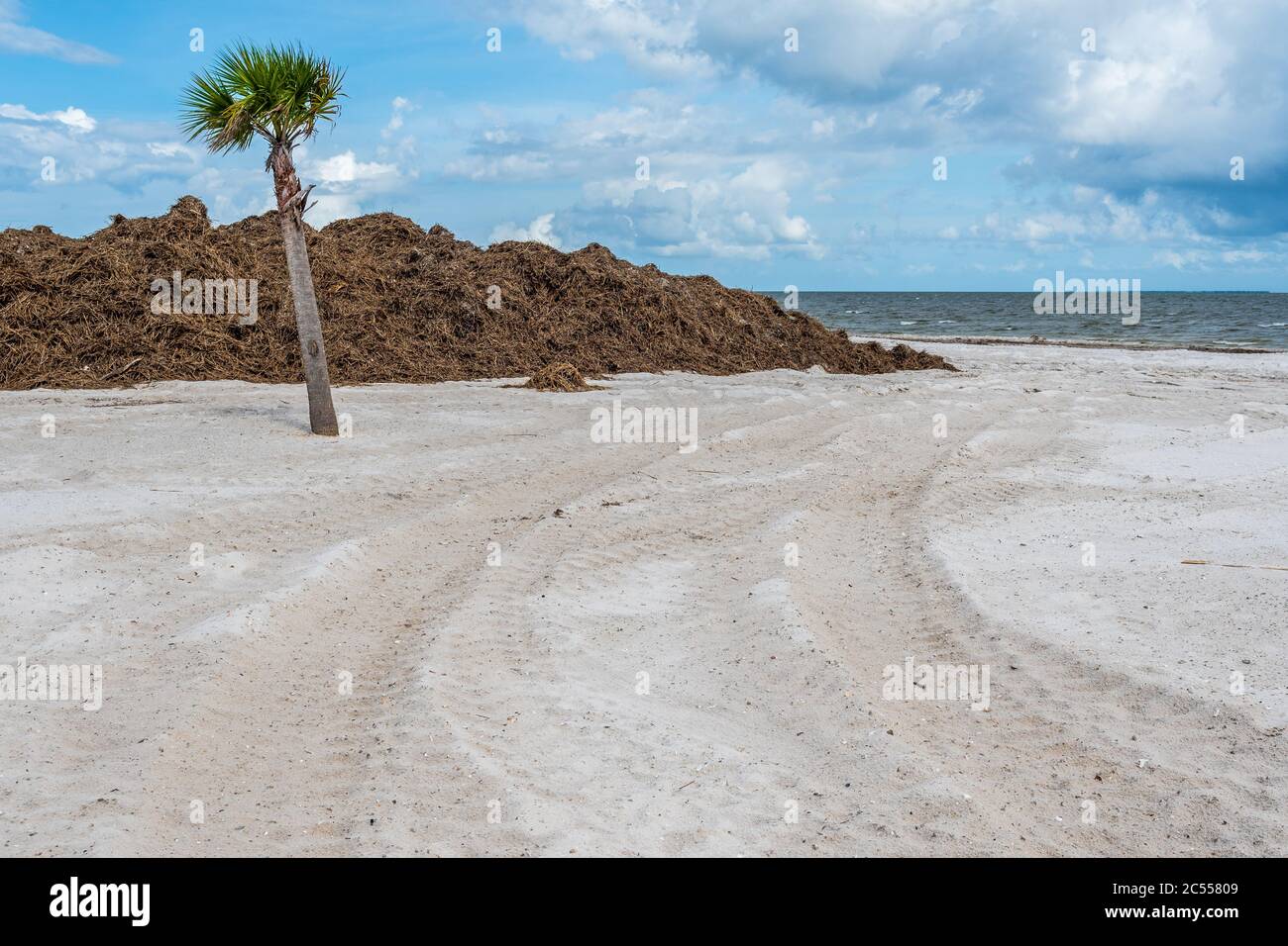Tempesta tropicale ripulire sulla spiaggia della costa del Golfo del Mississippi dopo la tempesta tropicale Cristobal ha lasciato i detriti di impennata della tempesta il 7 giugno 2020. Foto Stock