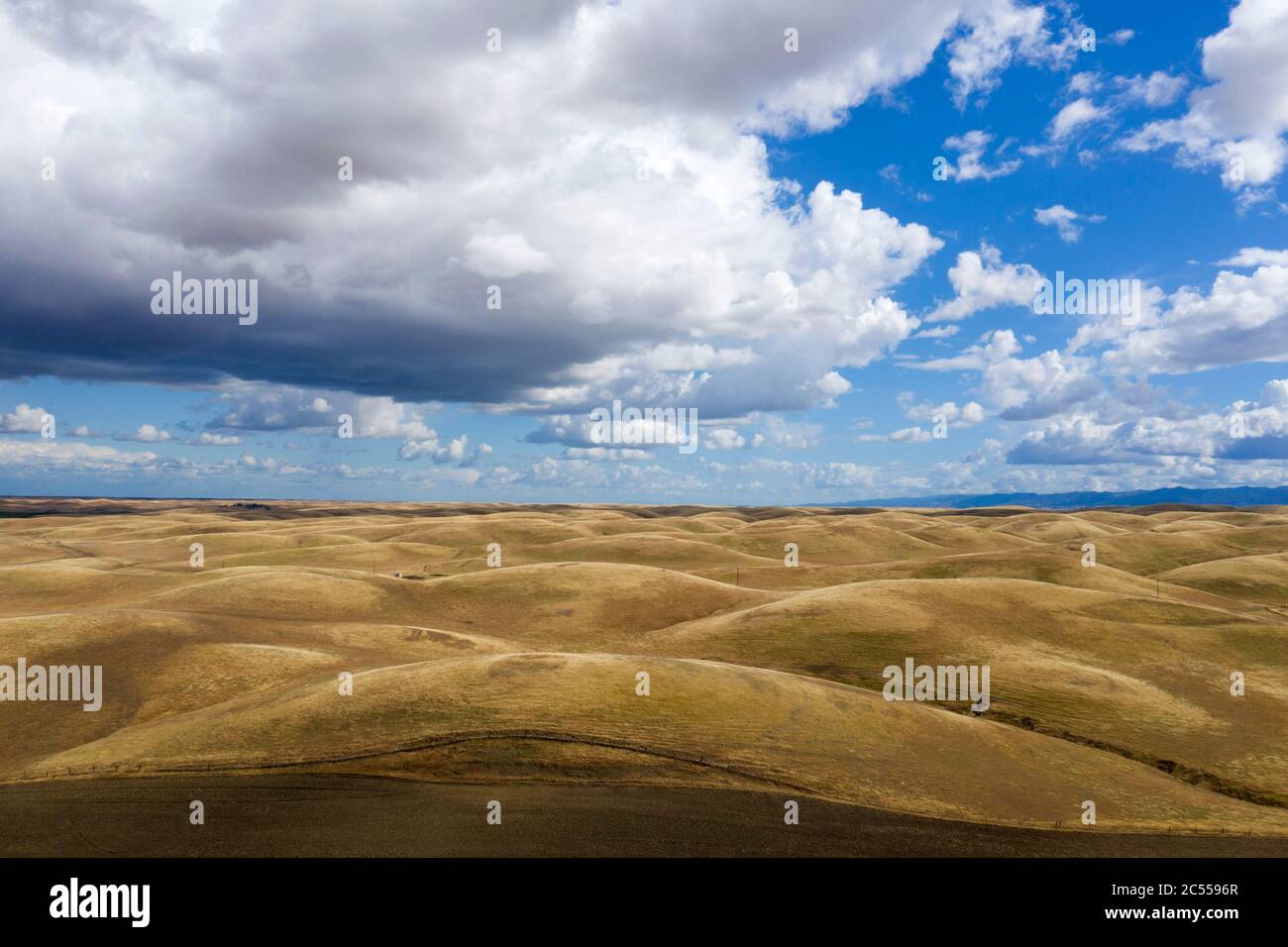 Dunnigan Hills che attraversa la contea di Yolo, California Foto Stock