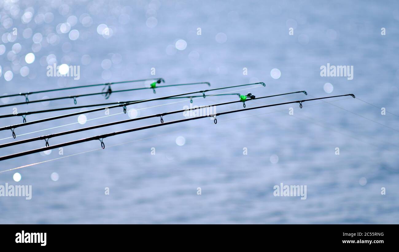 Immagine closeup di canne da pesca contro un'acqua splendente Foto Stock