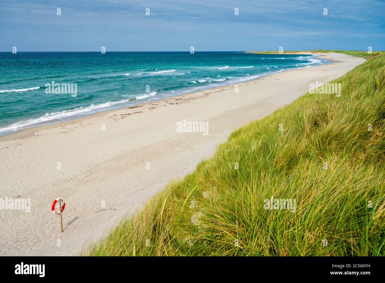 Orresanden, una grande spiaggia nel sud della Norvegia, famosa per il surf e il bagno. Foto Stock