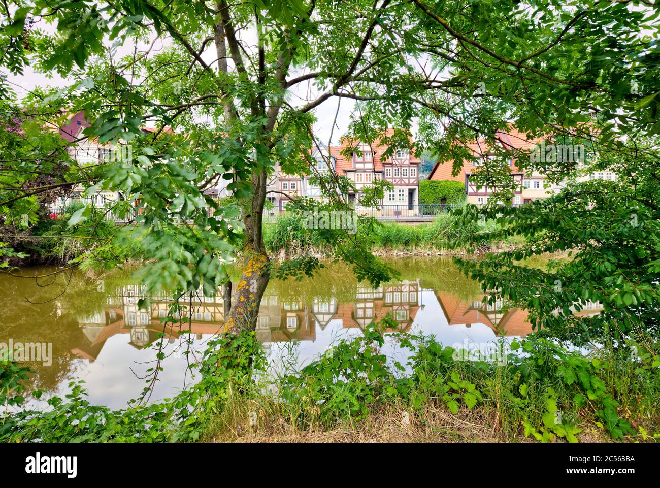 Vista del sobborgo di Blume, Werra, fiume, Blumer Werder, Hann. Münden, bassa Sassonia, Germania, Europa Foto Stock