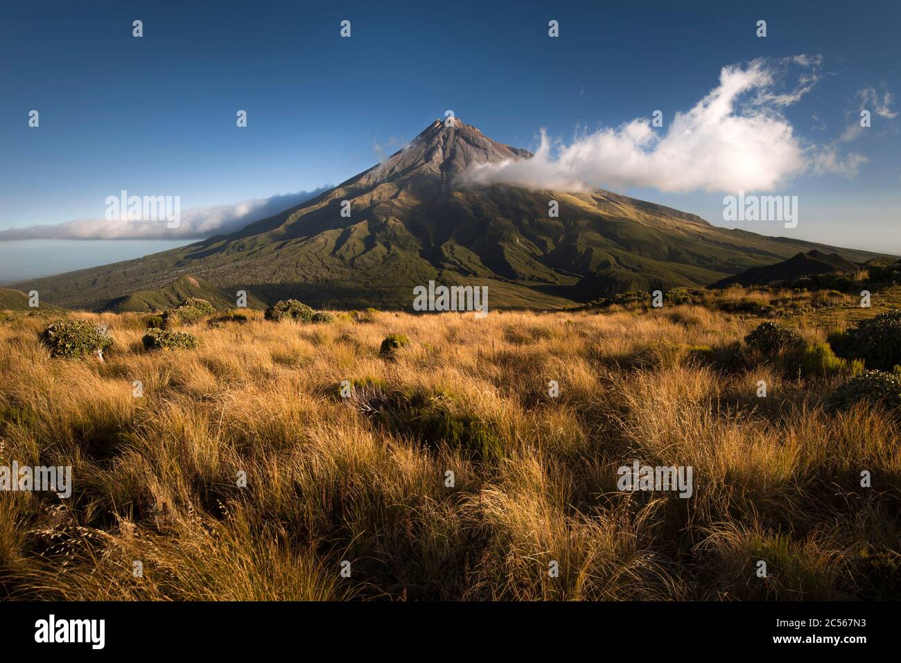 Monte Taranaki con nuvola singola in calda luce notturna, Egmont National Park, Nuova Zelanda Foto Stock