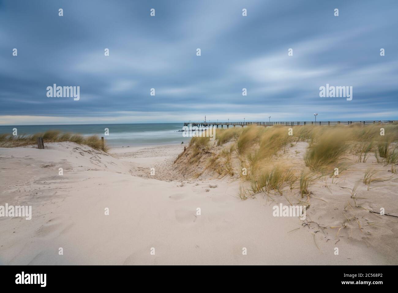 Costa del Mar Baltico con erba da spiaggia in inverno Foto Stock