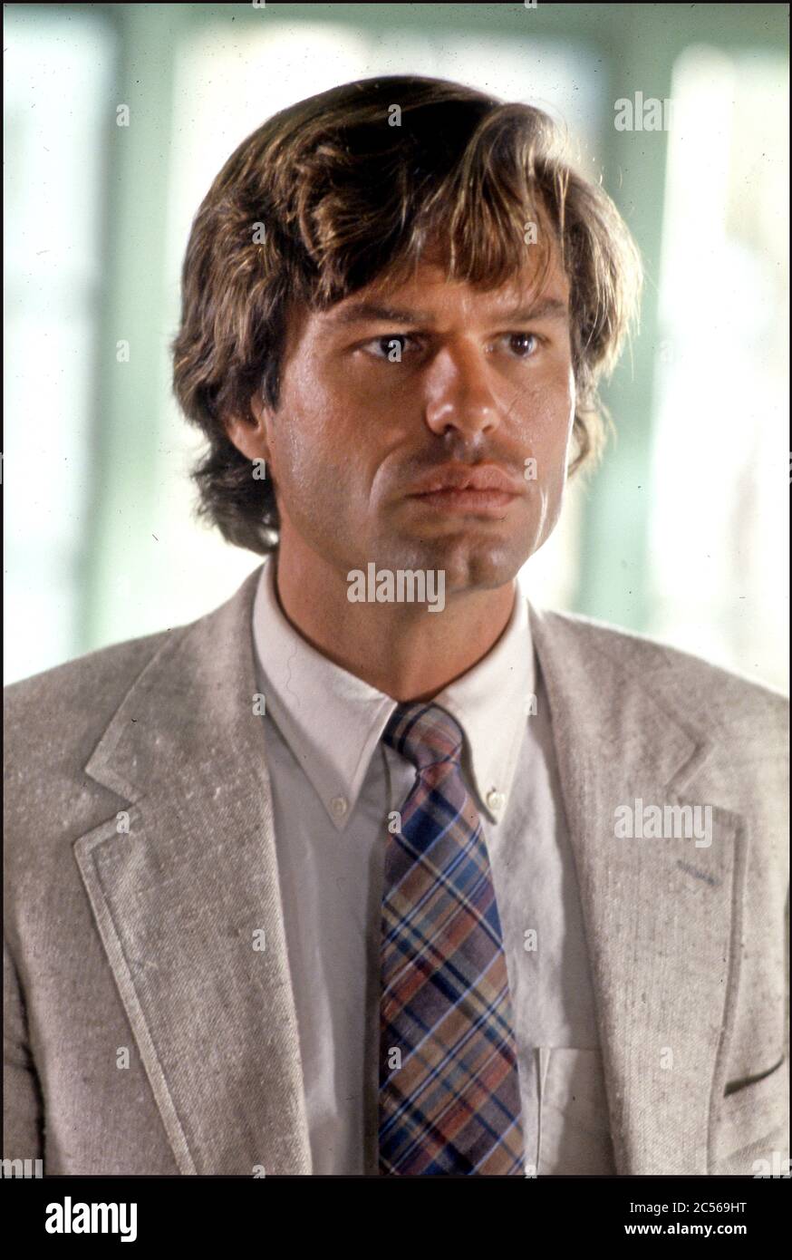 Attore Harry Hamlin recitazione nel film Laguna Heat, 1986 Foto Stock