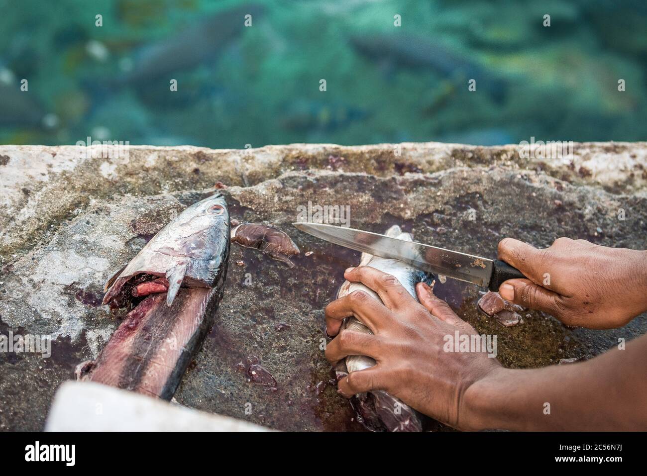 Maldive, Oceano Indiano Foto Stock