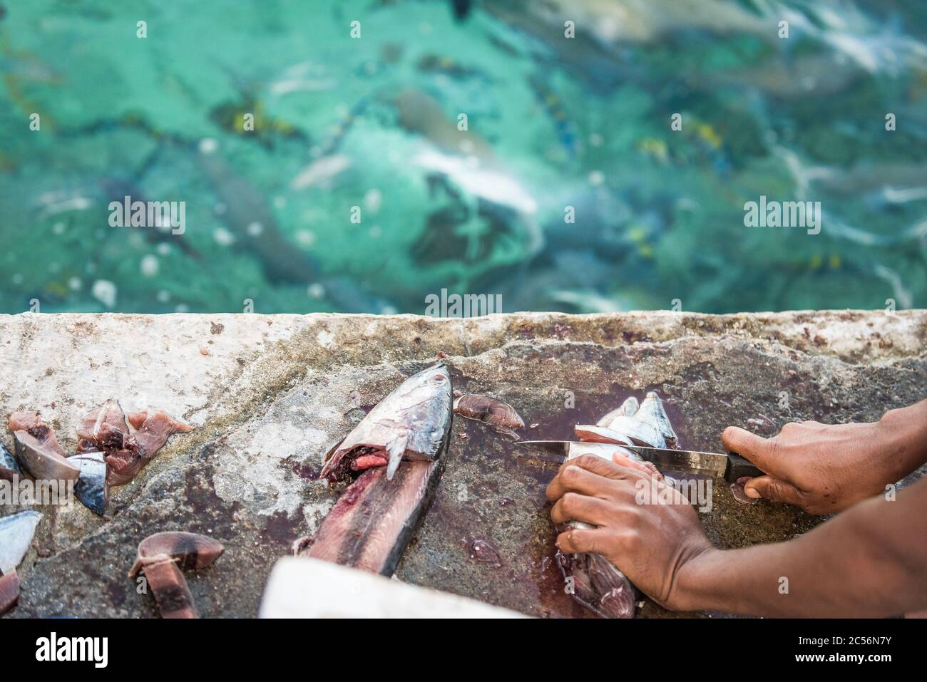 Maldive, Oceano Indiano Foto Stock