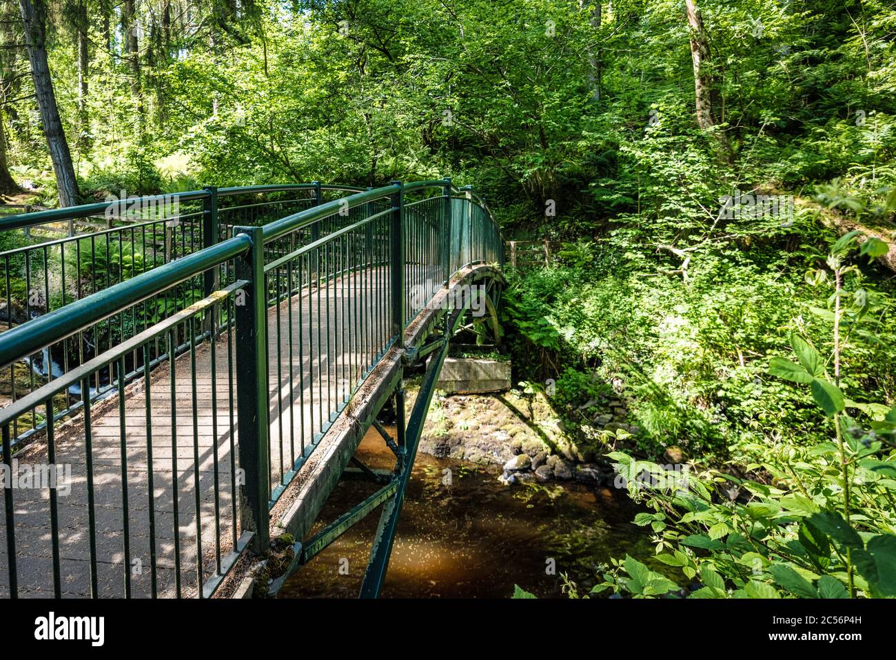Uno dei ponti che attraversano il torrente e le cascate nel Glenariff Forest Park, nell'Irlanda del Nord Foto Stock