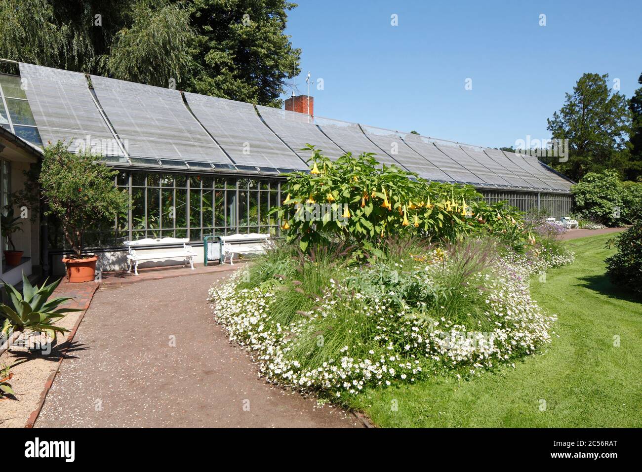 Serra, giardino del castello, Oldenburg in Oldenburg, bassa Sassonia, Germania, Europa Foto Stock