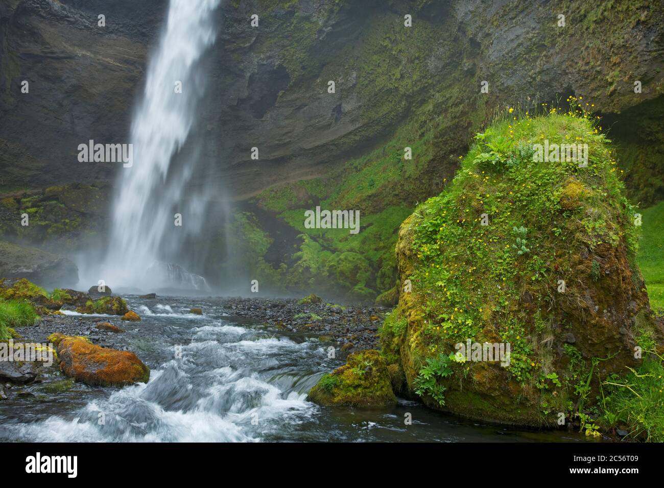 Il Kvernufoss alto 40 m vicino a Skogar in Islanda del Sud. Foto Stock