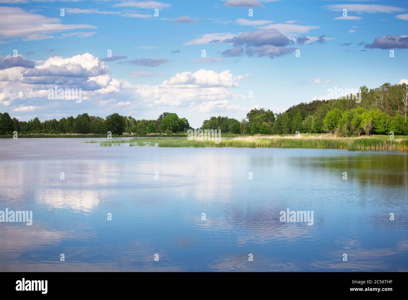 Lago paesaggio in estate. Bellissima vista panoramica con acqua, nuvole e alberi. Foto Stock