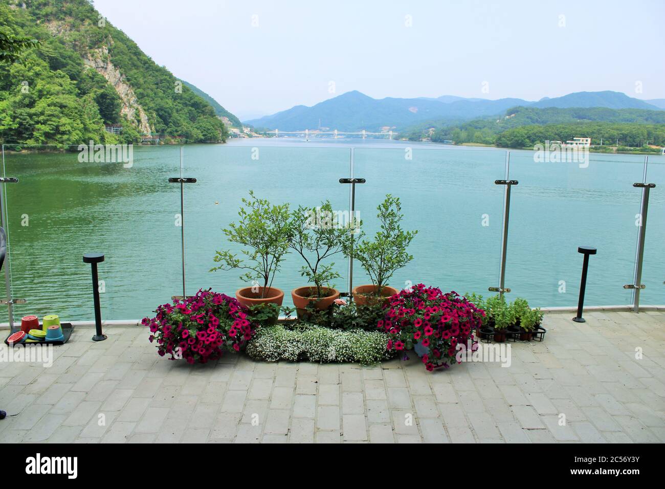 Fiori e piante in vaso contro una vista panoramica sul lago di montagna Foto Stock