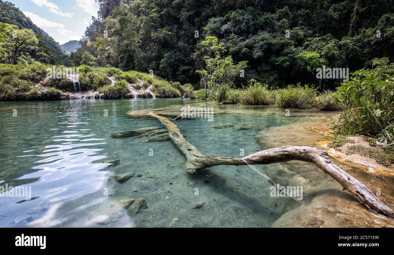 America Centrale, Quaternala, Parco Nazionale, Semuc Champey Foto Stock