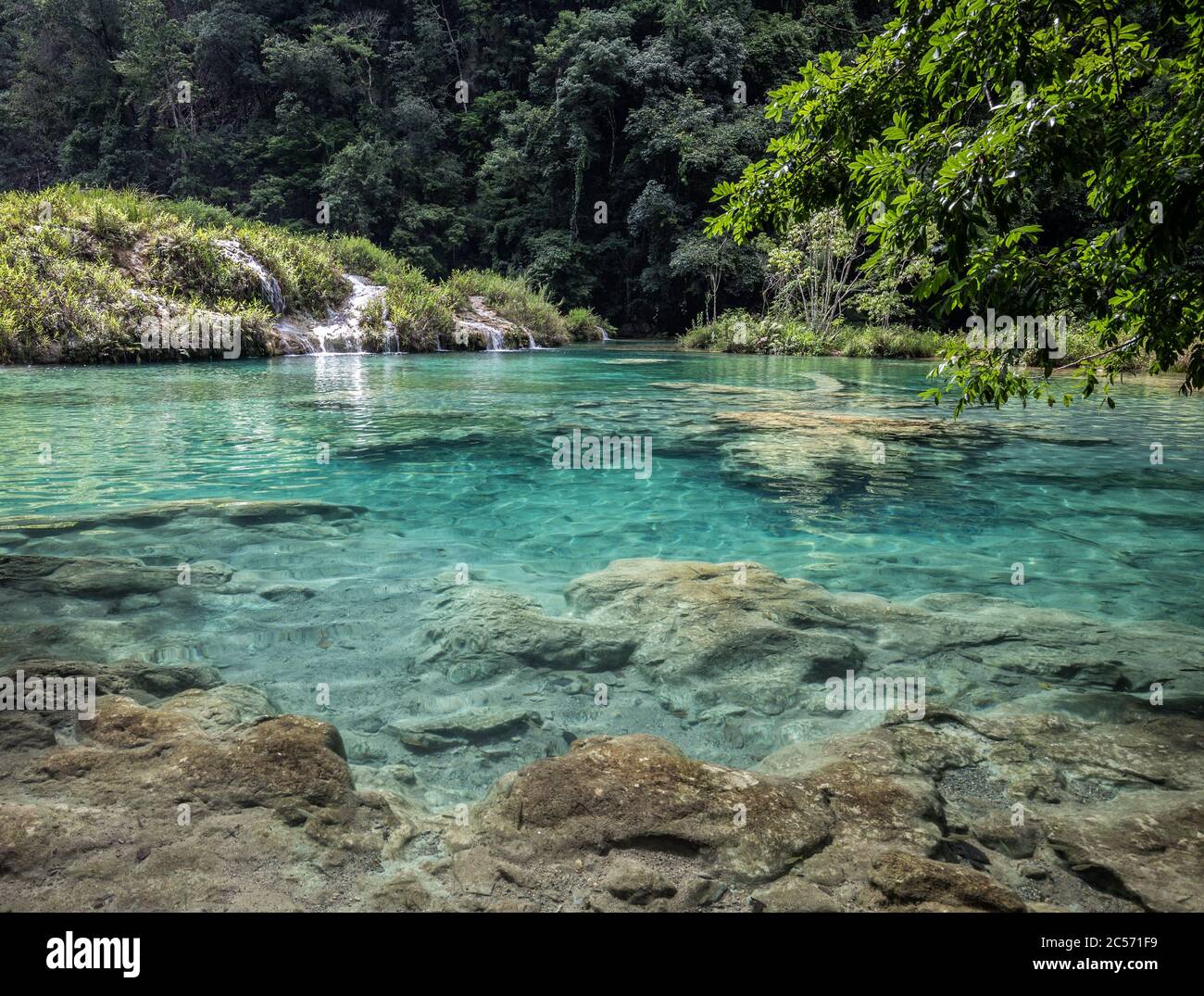 America Centrale, Quaternala, Parco Nazionale, Semuc Champey Foto Stock