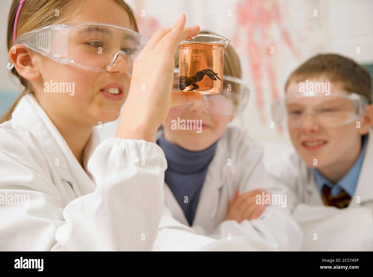 Curiosi studenti delle scuole superiori che esaminano campioni scientifici Foto Stock