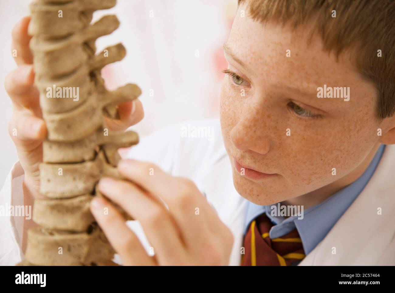 Curioso studente junior di scuola superiore che esamina il modello della colonna vertebrale Foto Stock