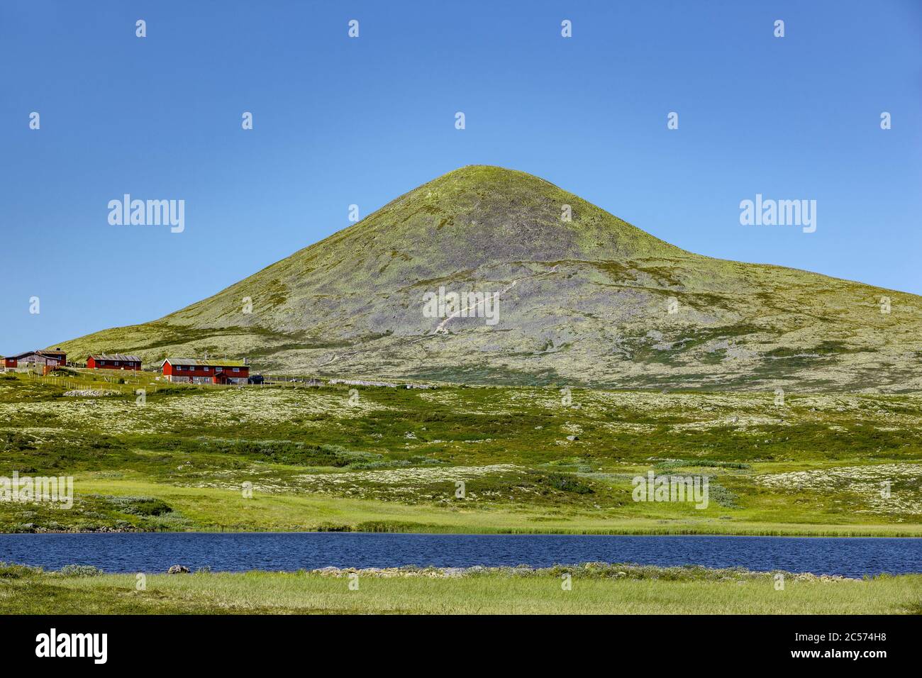 Muen vetta di montagna nel Parco Nazionale di Rondane in Norvegia Foto Stock