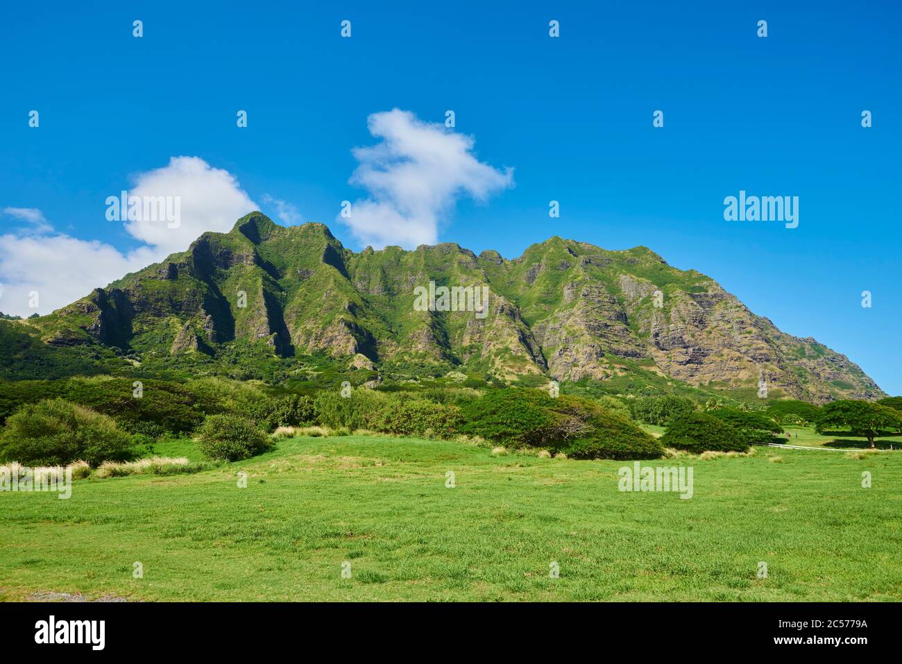 Paesaggio di Kualoa Ranch & Zipline, Oahu Island, Oahu, Hawaii, Aloha state, Stati Uniti Foto Stock
