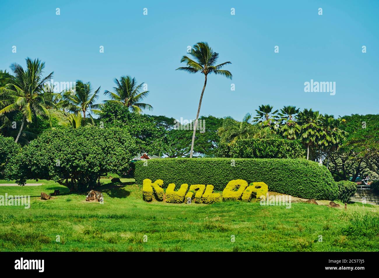 Kualoah è stato scritto da arbusti, Kualoa Ranch & Zipline, Hawaii, Isola Hawaiiana di Oahu, Oahu, Hawaii, Aloha state, USA Foto Stock