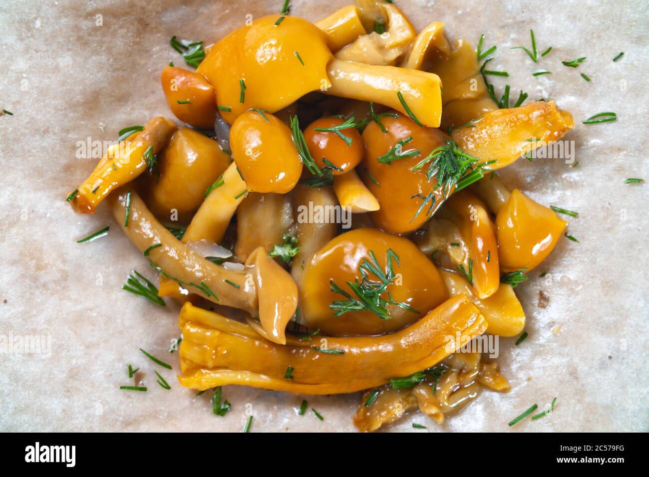 Foto di ripieno agarico di miele con aneto Foto Stock