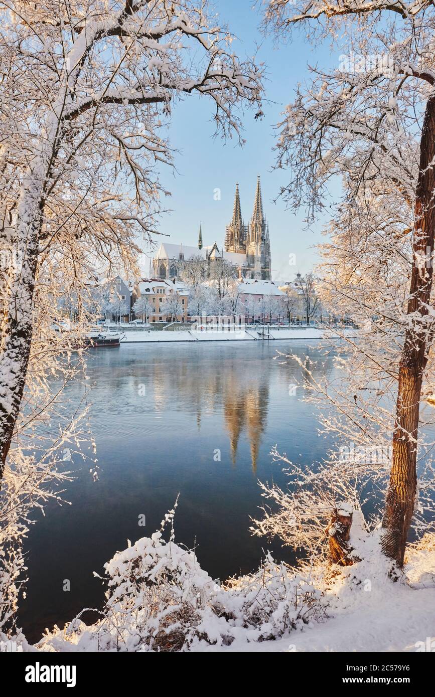 Cattedrale di Ratisbona, vista da Jahninsel, Marc-Aurel-Ufer, inverno, Ratisbona, Baviera, Germania, Europa Foto Stock