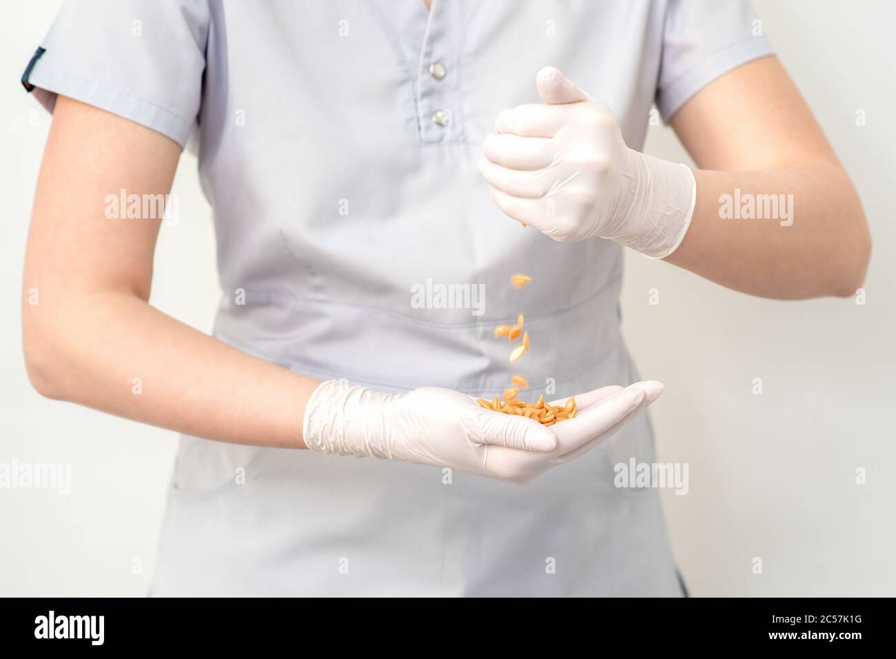 Fagioli di cera o semi nelle mani femminili in guanti protettivi su sfondo bianco. Foto Stock