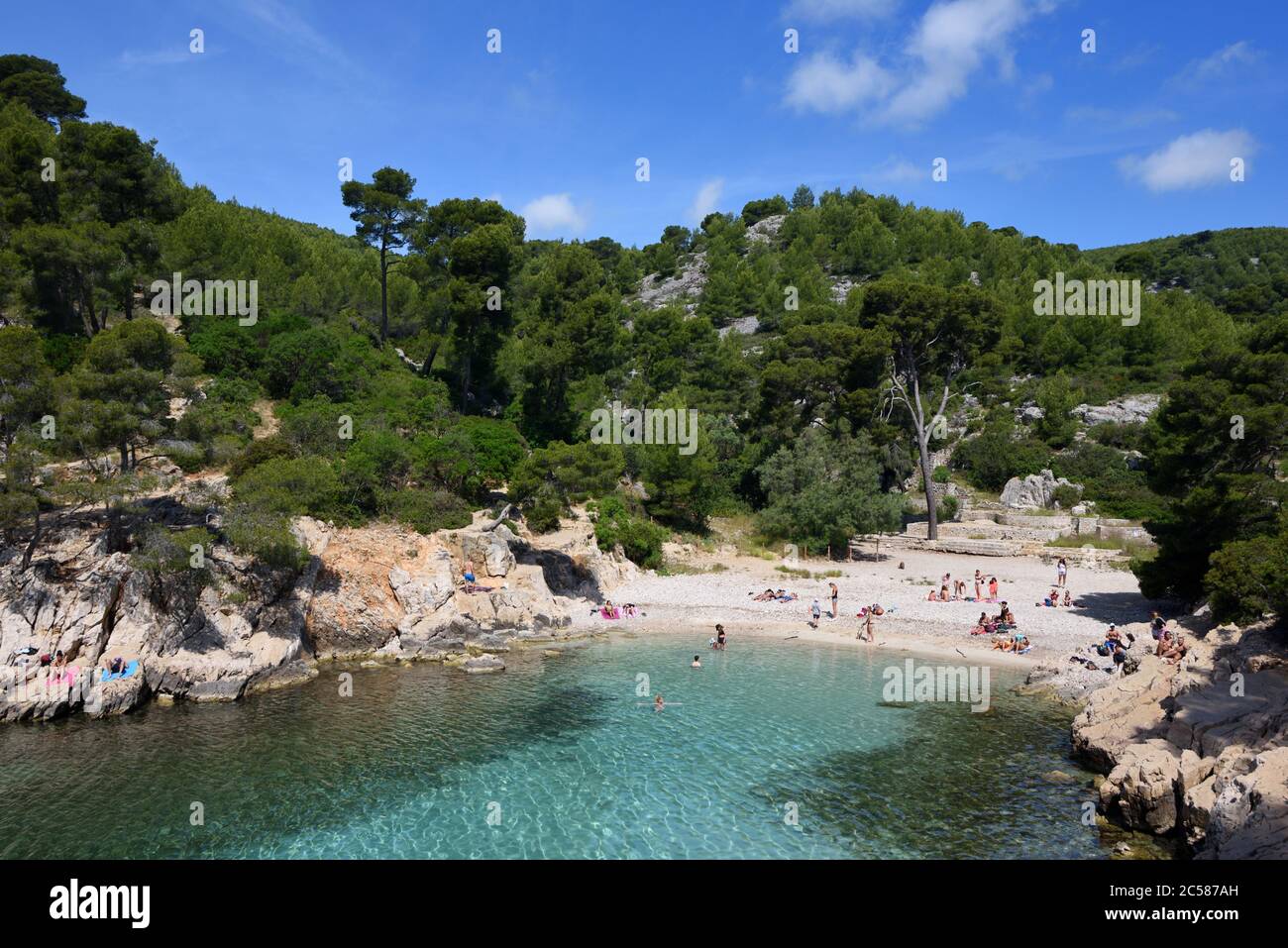 Baia di sabbia con spiaggia e pini al Calanque Port-pin Calanques Parco Nazionale Cassis Provence France Foto Stock