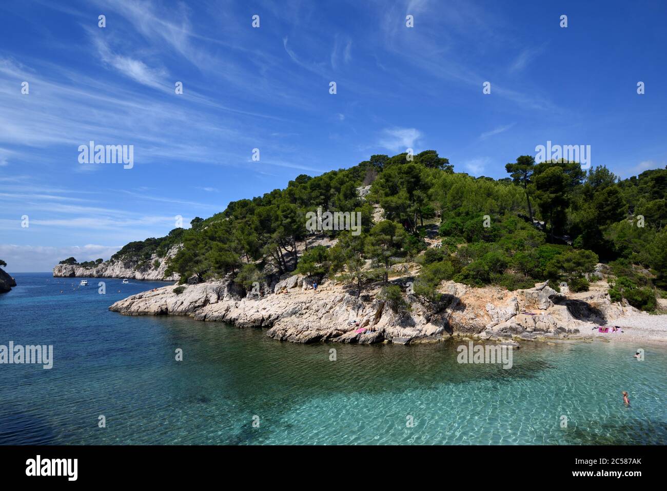 Calanque Port-pin & Pine alberi in Fjord-come Cove del Calanques Parco Nazionale Cassis Provence Francia Foto Stock