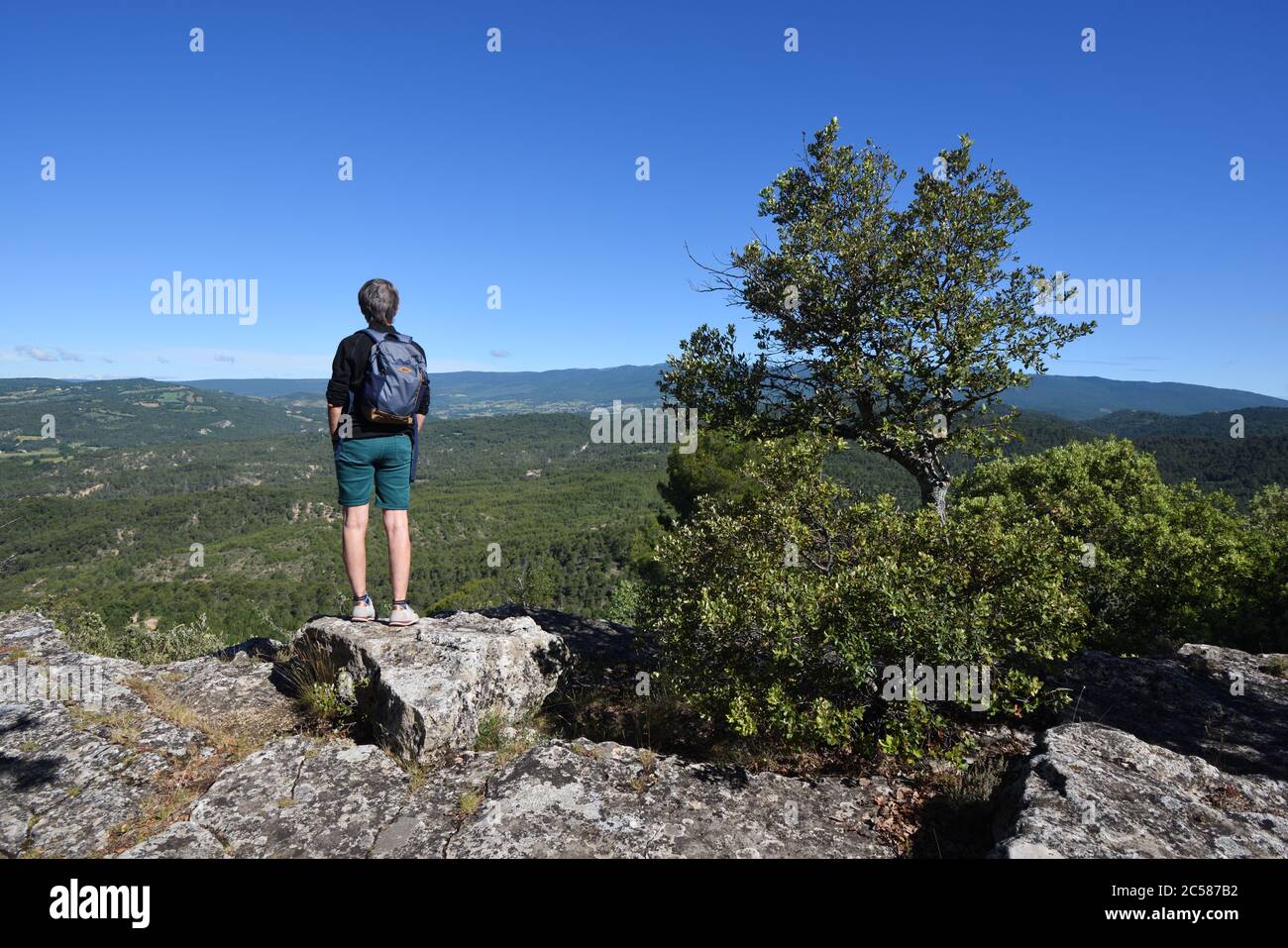 Walker e Vista panoramica dall'Altopiano di Ganagobie o dall'Altopiano di Ganagobie e dal Monte Lure Alpes-de-Haute-Provence Provence Provence France Foto Stock