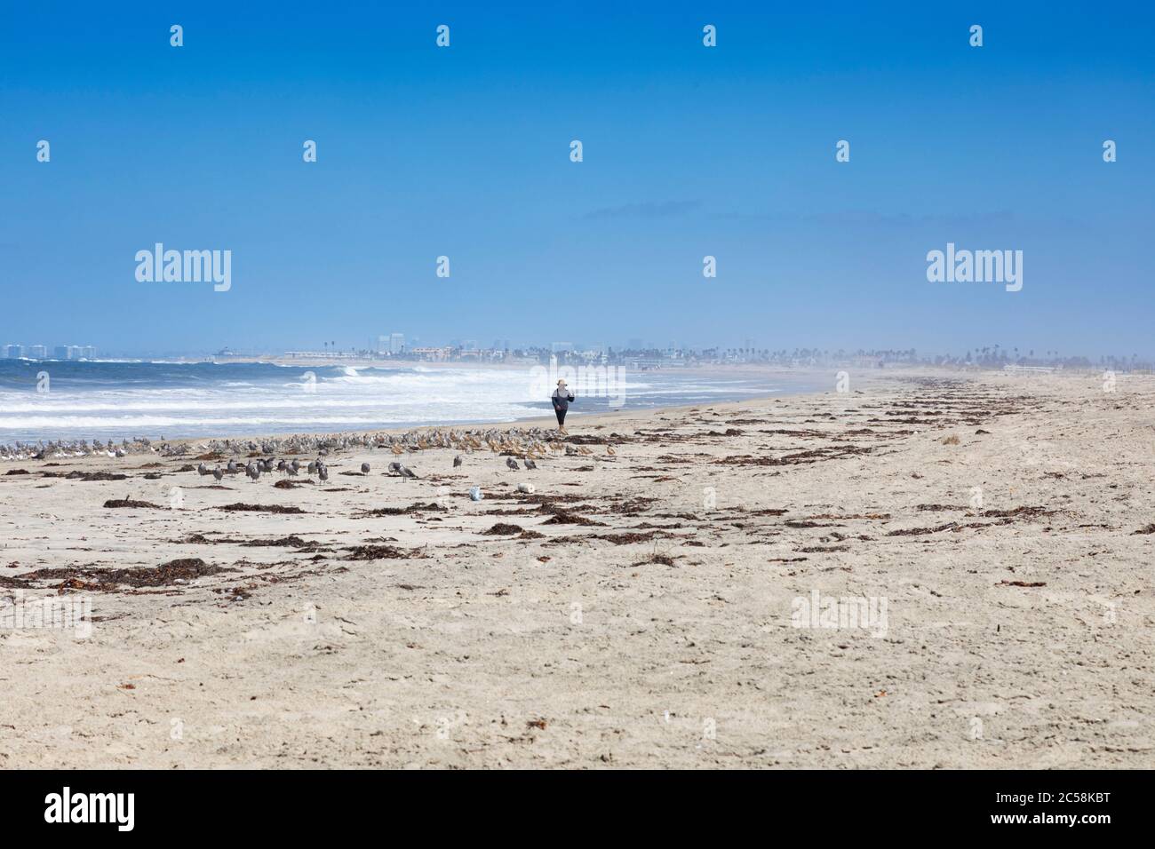 Una donna sola cammina in una spiaggia vuota vicino al parco dell'amicizia internazionale, il confine tra Stati Uniti e Messico Foto Stock