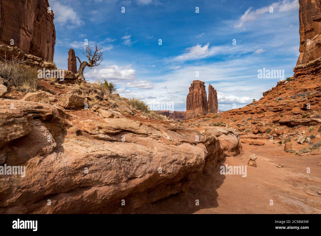 Vista mozzafiato della struttura in arenaria di organo in lontananza vista dal Park Avenue Trail, Arches National Park, Moab, Utah Foto Stock