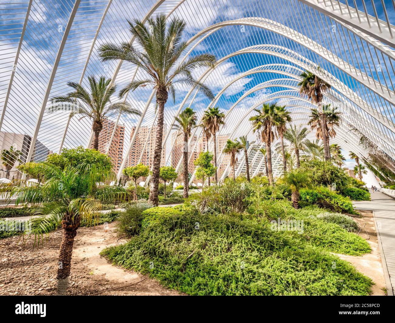 3 marzo 2020: Valencia, Spagna - l'Umbracle, un giardino di sculture e passeggiata che formano un ingresso alla Città delle Arti e delle Scienze di Valencia. Foto Stock