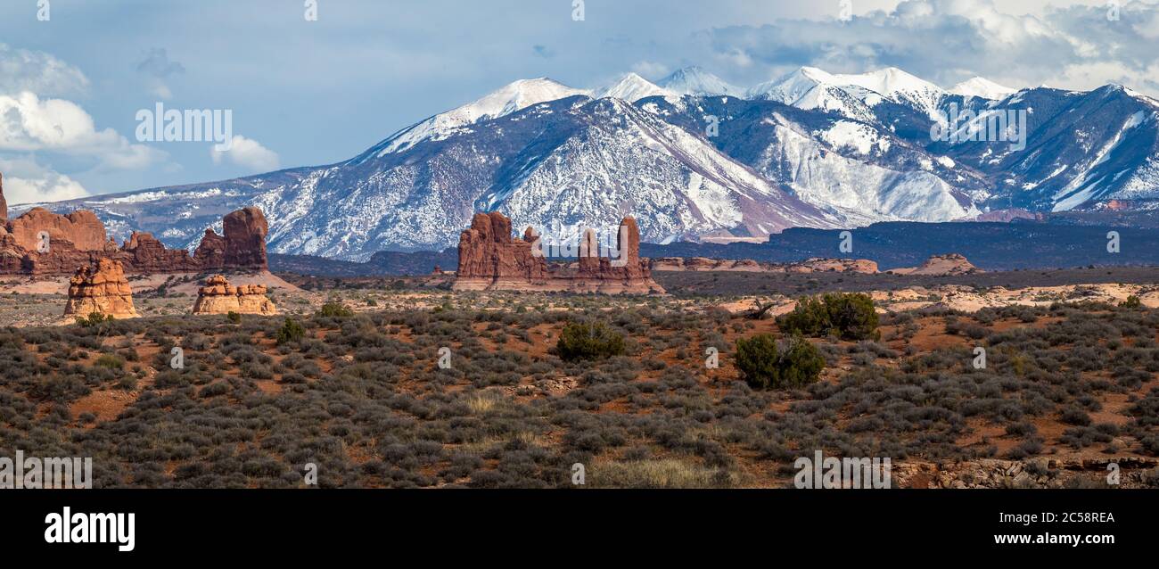 Vista colorata della Parata degli Elefanti formazioni rocciose in arenaria nell'alto deserto con le montagne innevate la SAL sullo sfondo, Arches National Foto Stock