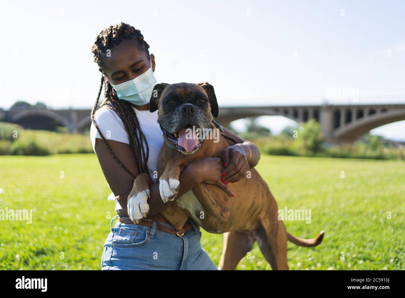 Donna africana con trecce e maschera protettiva che tiene un cane boxer con le braccia in erba con un ponte sullo sfondo Foto Stock