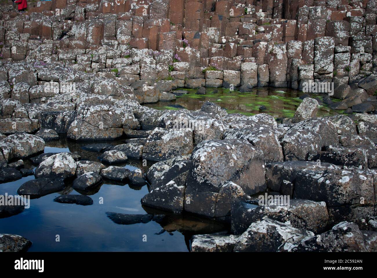 Giant's Causeway terra, luogo turistico Foto Stock