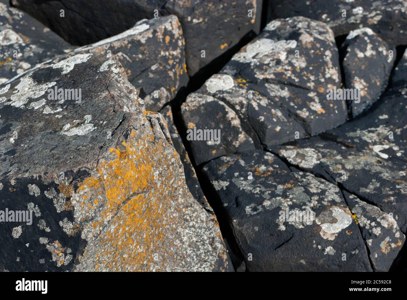 Giant's Causeway terra, luogo turistico Foto Stock