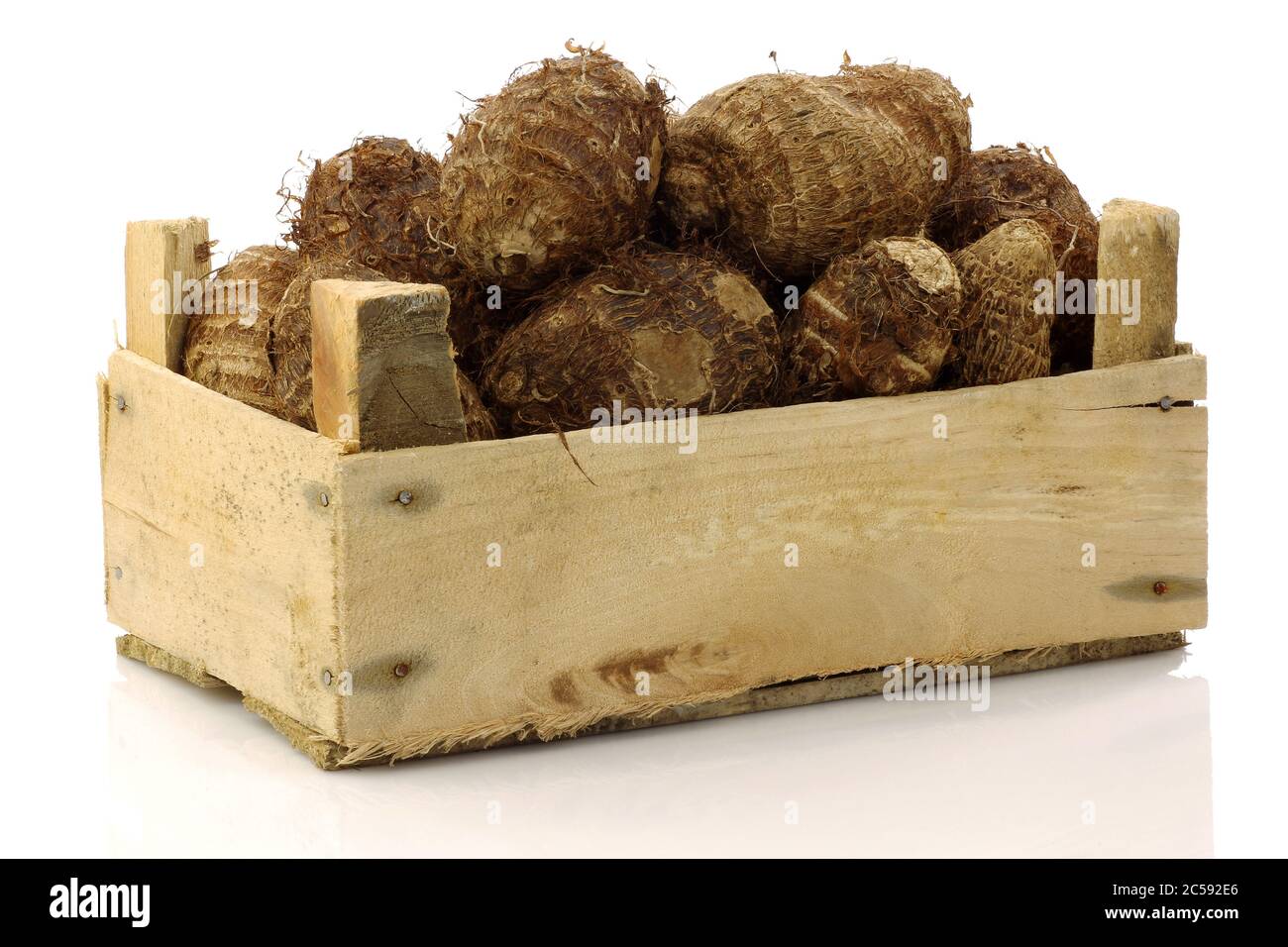 mazzo di radice di taro (colocasia) in una cassa di legno su sfondo bianco Foto Stock